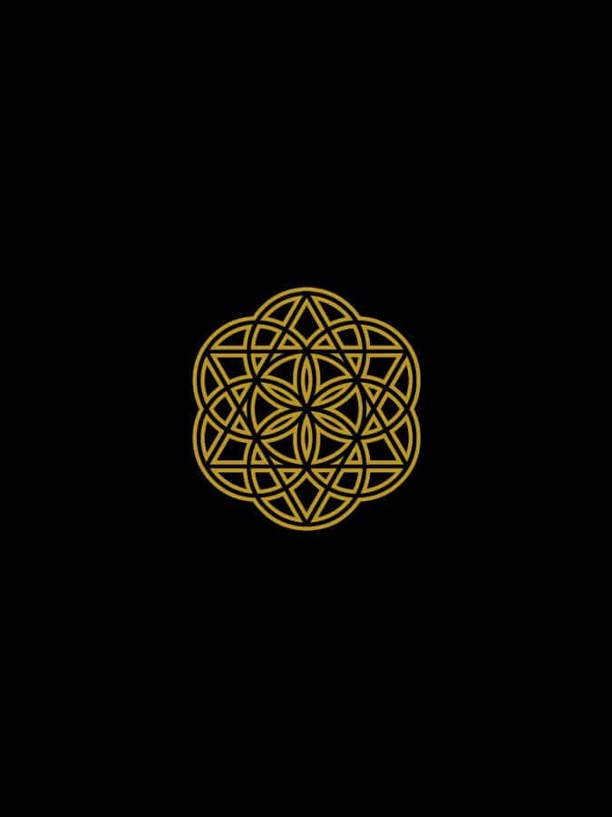 Starseed Infinity Yoga Bra – Sacred Geometry Sport Bra